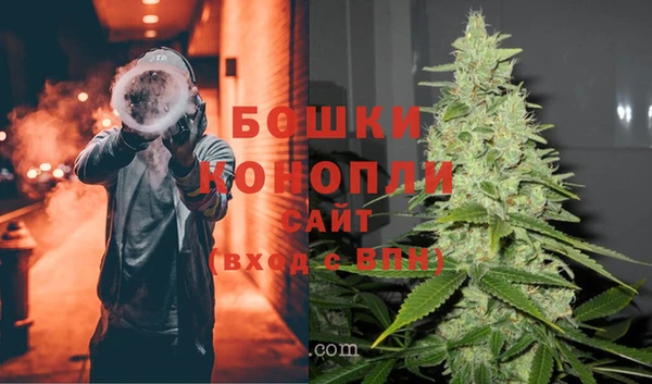 мет Лагань