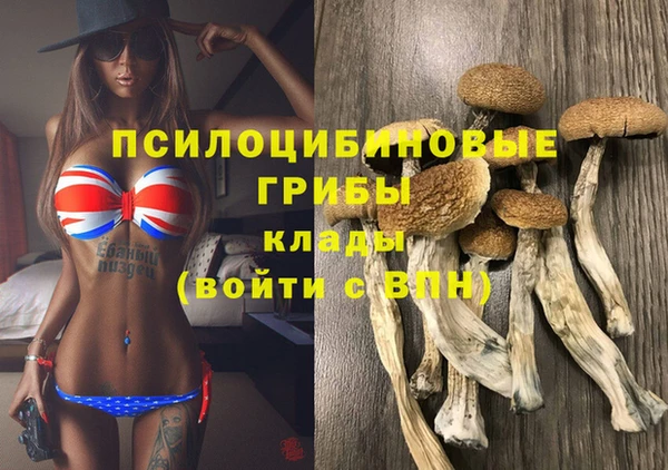 прущая мука Лабытнанги