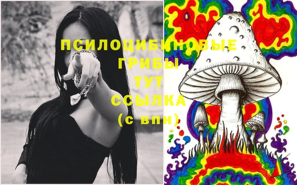 мет Лагань
