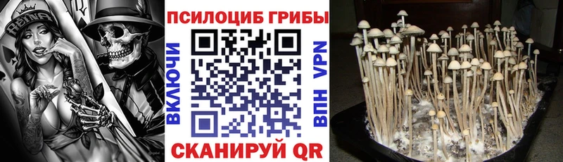 Галлюциногенные грибы мухоморы  Мещовск 